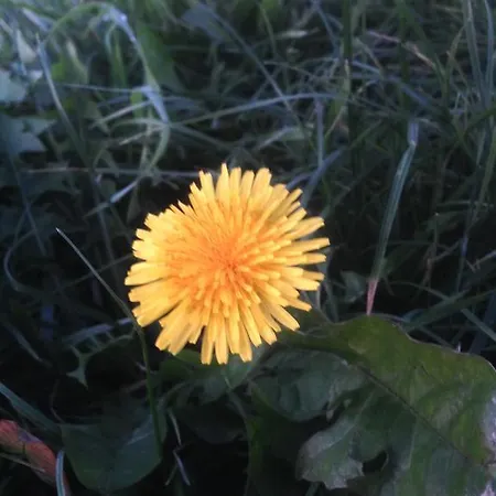 Arcobaleno Toscano Apartamento